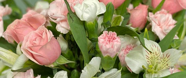 Tuck’s Flower Shop